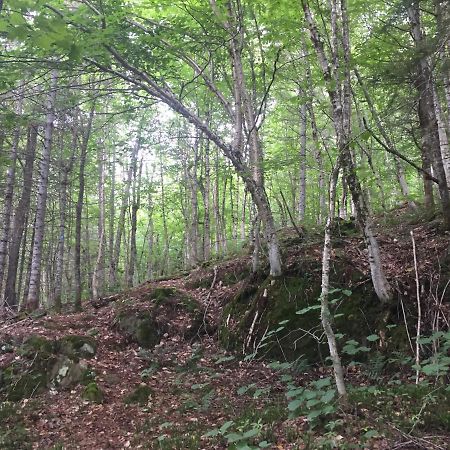 Val-des-Lacs Chalet Nature Laurentides מראה חיצוני תמונה