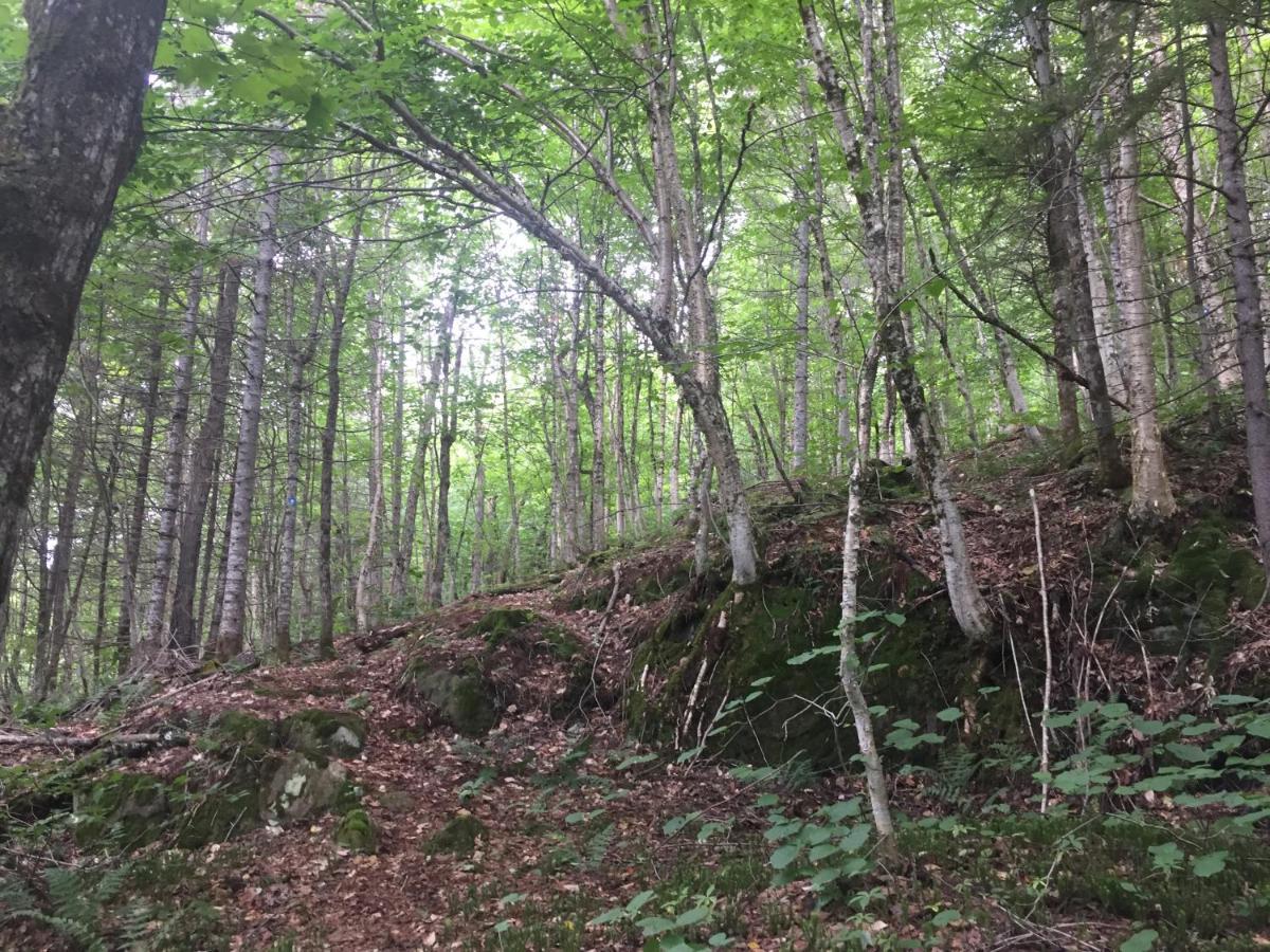 Val-des-Lacs Chalet Nature Laurentides מראה חיצוני תמונה