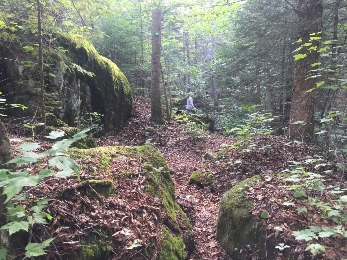 Val-des-Lacs Chalet Nature Laurentides מראה חיצוני תמונה