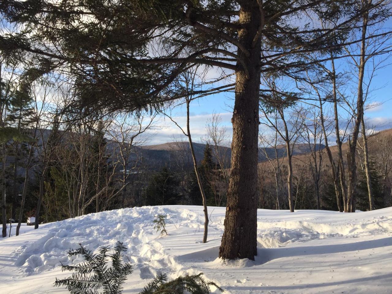 Val-des-Lacs Chalet Nature Laurentides מראה חיצוני תמונה